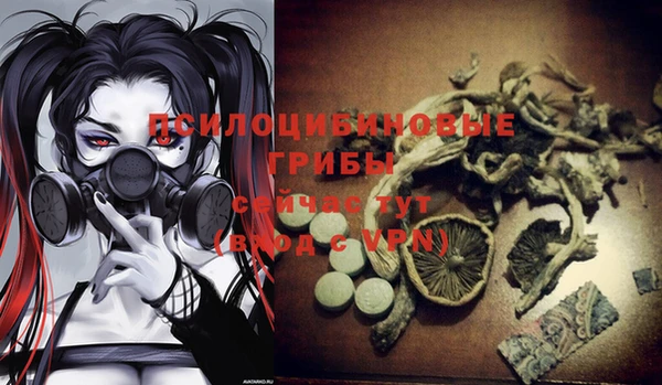 прущая мука Богородицк