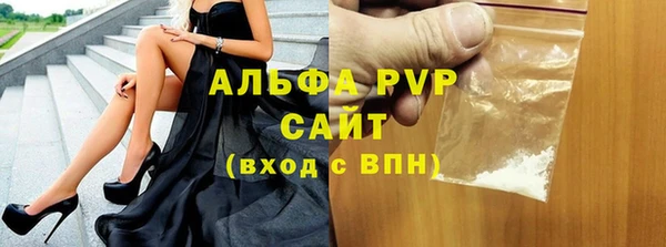 спайс Богданович