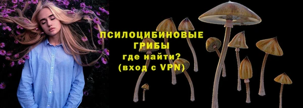мескалин Богородск