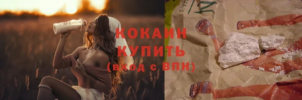 спайс Богданович