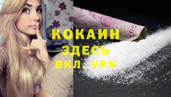 спайс Богданович