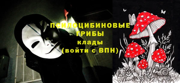 спайс Богданович
