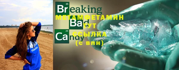 спайс Богданович