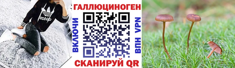 Галлюциногенные грибы Cubensis  Екатеринбург 